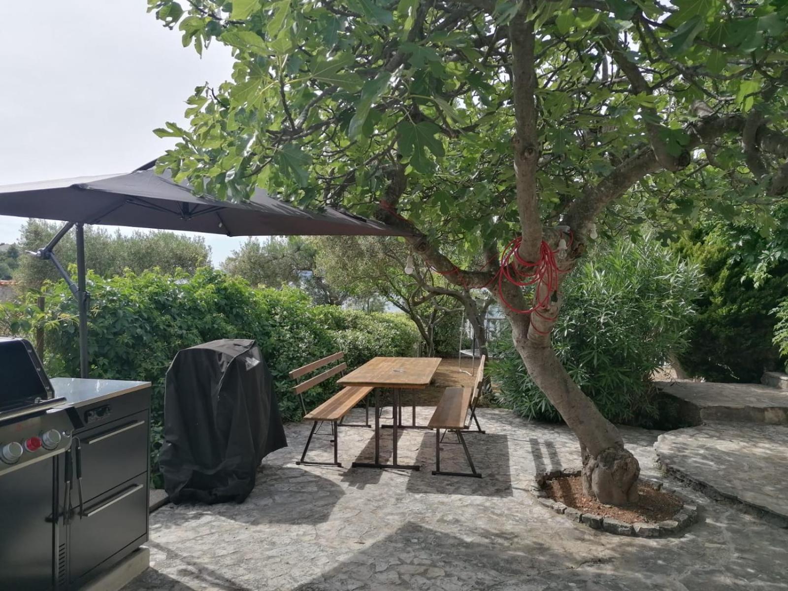 טרוגיר Apartments Villa Julia מראה חיצוני תמונה